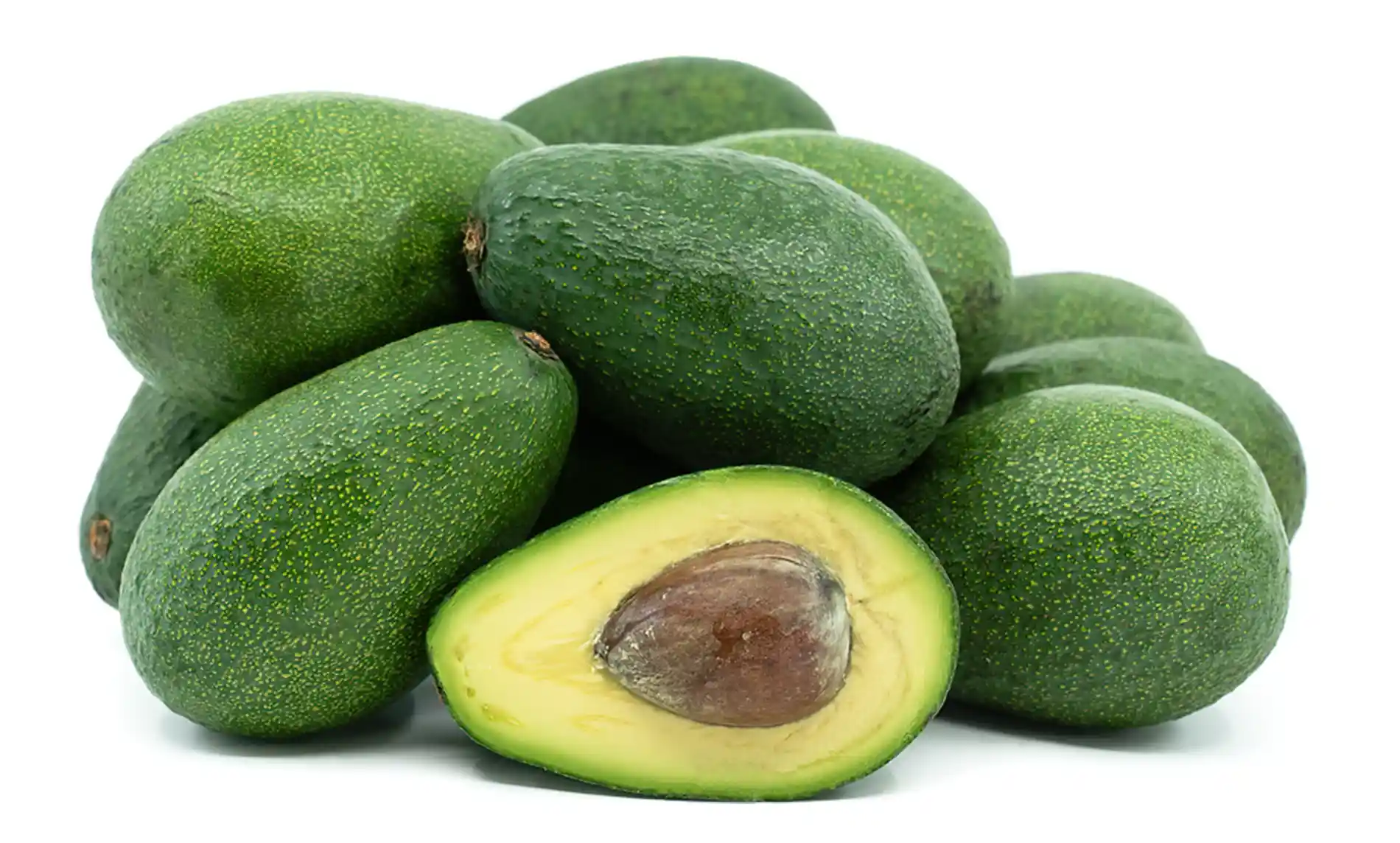 avocados harvested ready for quality control